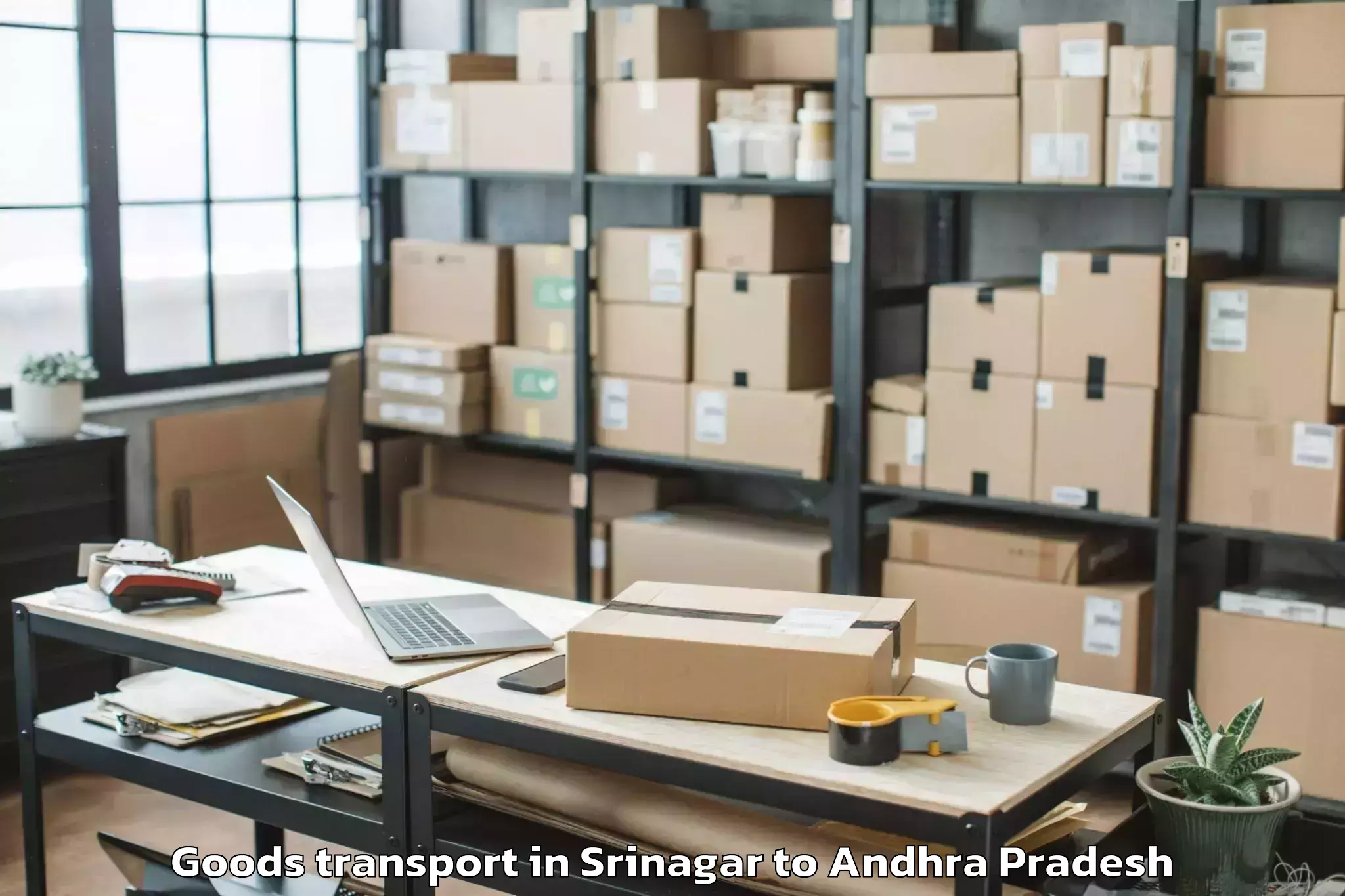 Expert Srinagar to Bapatla Goods Transport